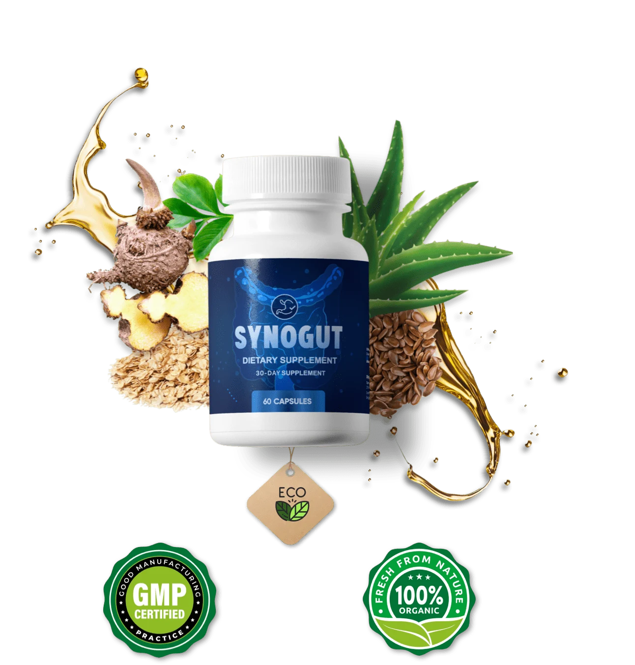 SynoGut digestive supplement bottle surrounded by illustrated botanical and plant-based ingredients